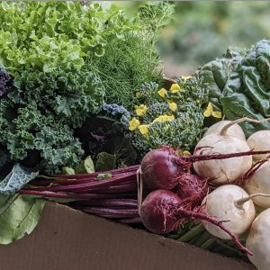 Weekly Harvest Box (Farm-direct)